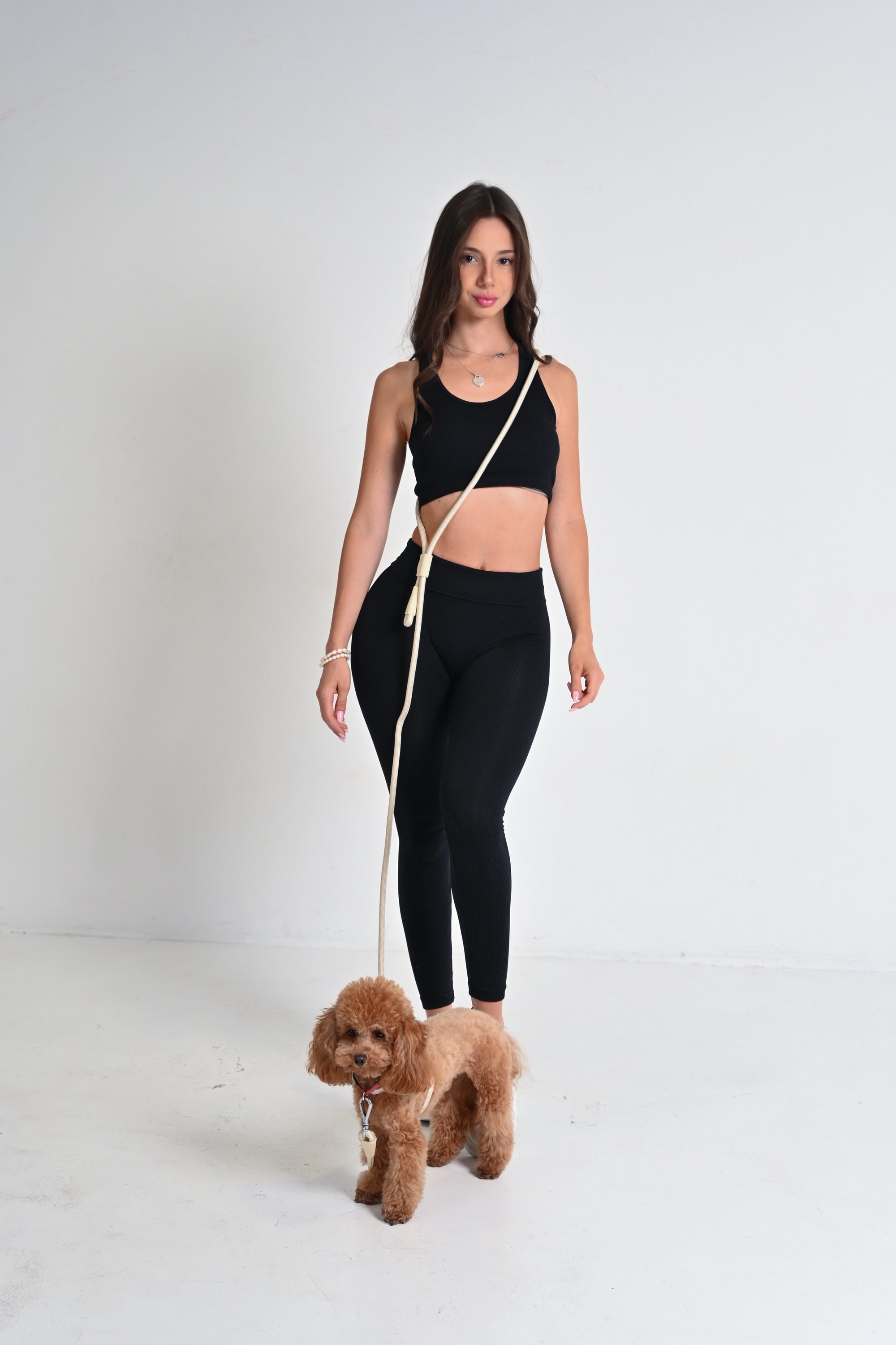 Hands free povodac za pse - Bež