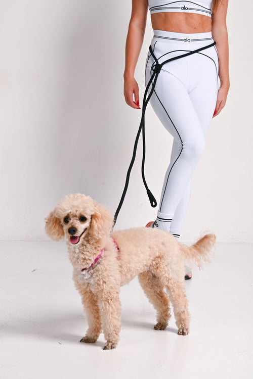 Hands free povodac za pse - Crni