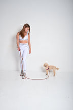 Hands free povodac za pse - Braon